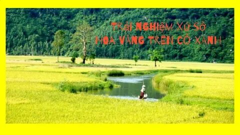 Tôi thoát khỏi nỗi oan tày trời nhờ mẹ chồng không biết nhà lắp camera