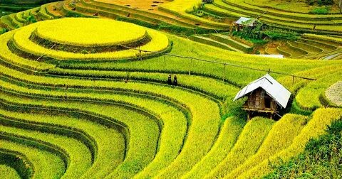 Cách Khởi Nghiệp Kiếm Tiền Bán Thời Gian Dành Cho Người Mới_Kinh nghiệm khởi nghiệp